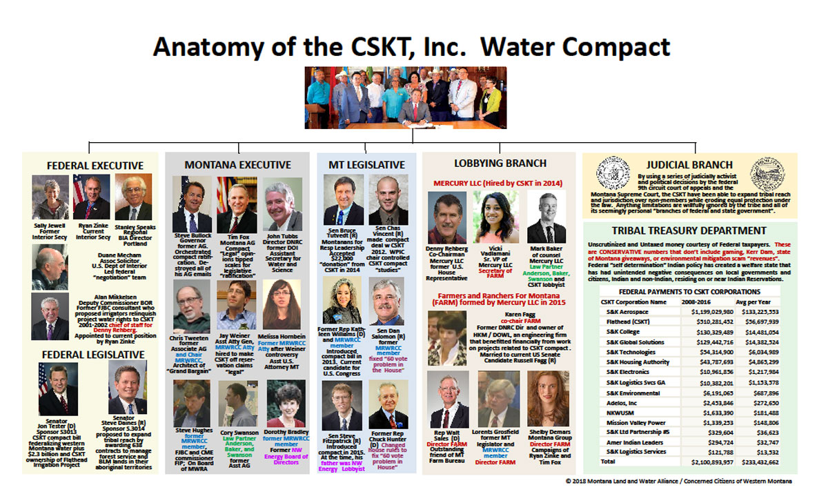 CSKT Anatomy Organization Chart of Taking